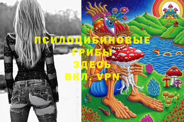винт Алексеевка